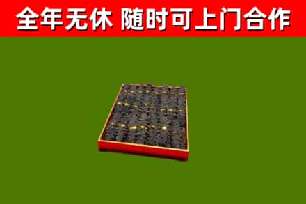 甘肃回收海参